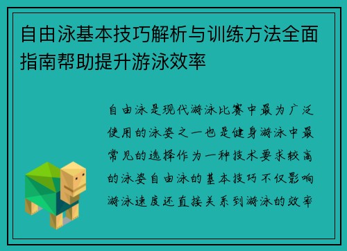 自由泳基本技巧解析与训练方法全面指南帮助提升游泳效率