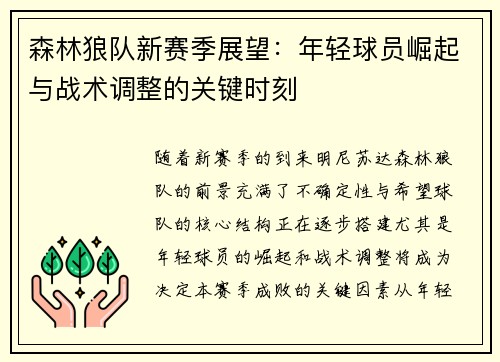 森林狼队新赛季展望：年轻球员崛起与战术调整的关键时刻