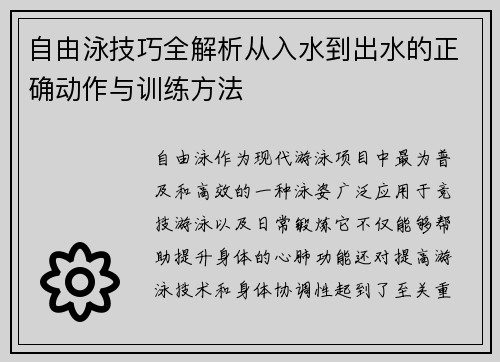 自由泳技巧全解析从入水到出水的正确动作与训练方法