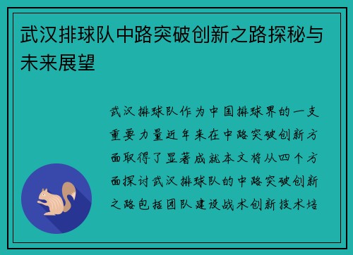 武汉排球队中路突破创新之路探秘与未来展望